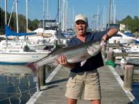 chesapeake bay fishing report striped bass